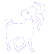 Capra